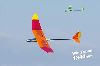PILOT シークアーサー 赤 ベーシック (11313)