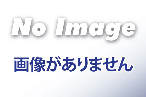 テトラ　TET01884 スケール機用飾りビス 2x8 黒